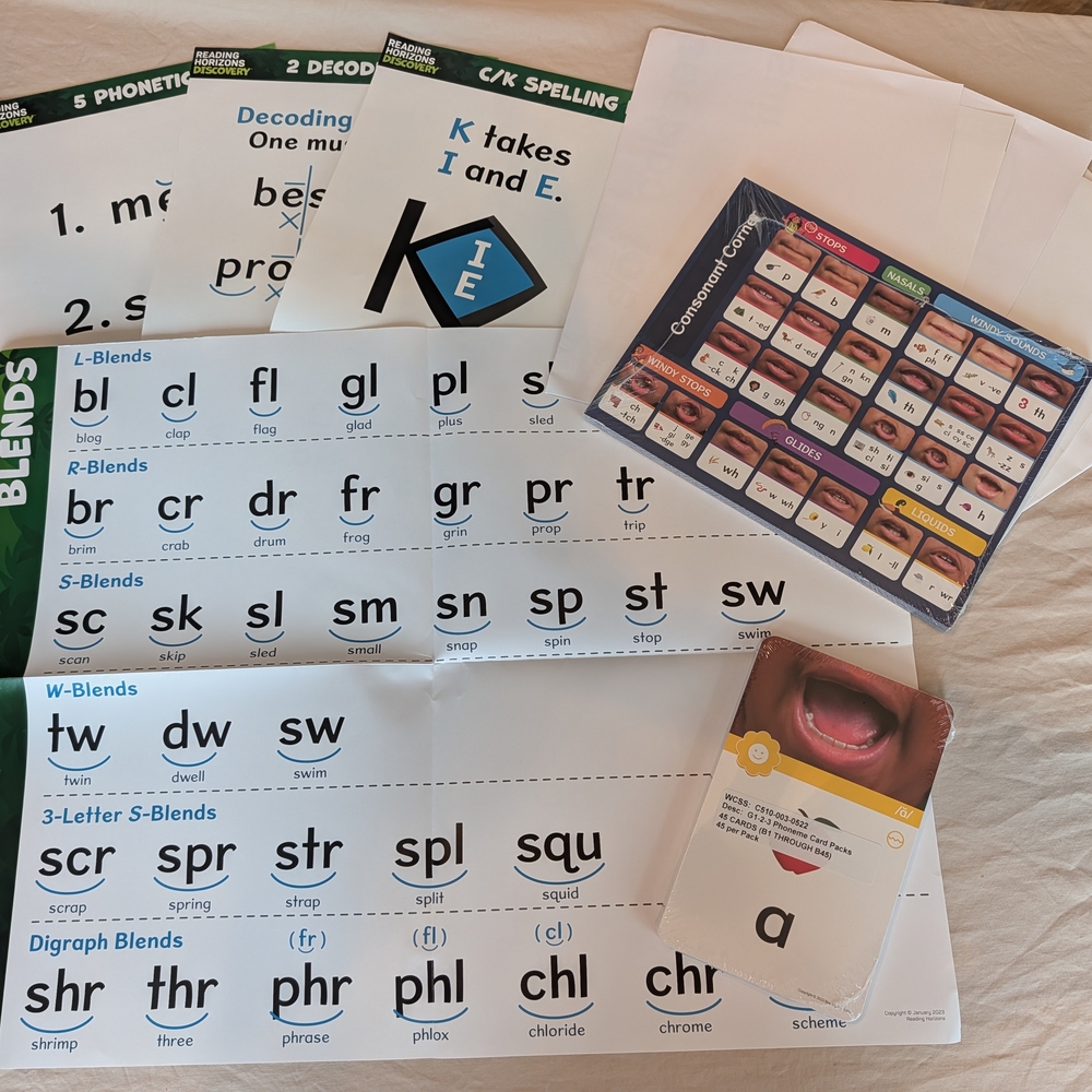 Educational Phonics Posters and Cards Set